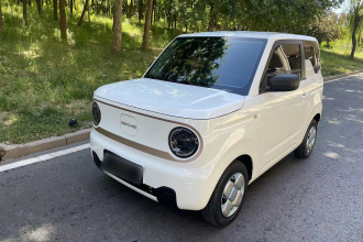 吉利银河 2023款 熊猫mini 120km 萌萌熊