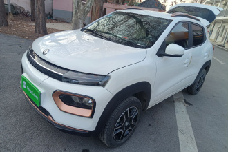 东风纳米 纳米BOX 2022款 追风版 331KM 标准型