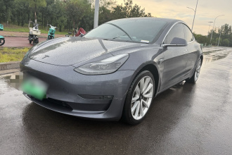 特斯拉 Model 3 2020款 长续航后轮驱动版