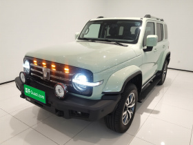 坦克300 2021款 城市版 2.0T 很有型