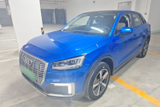 奥迪Q2L e-tron 2019款 Q2L e-tron 纯电智享型