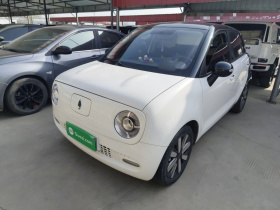 欧拉黑猫 2021款 351km 标准型