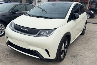 比亚迪 海豚 2023款 420km 时尚版