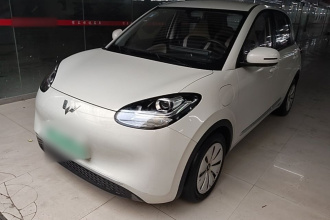 五菱汽车 五菱缤果 2023款 333km 快享款