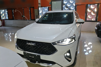 哈弗F7x 2019款 2.0T 两驱极智科技版