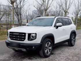 哈弗大狗 2021款 1.5T DCT两驱拉布拉多版