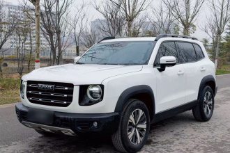 哈弗大狗 2021款 1.5T DCT两驱拉布拉多版