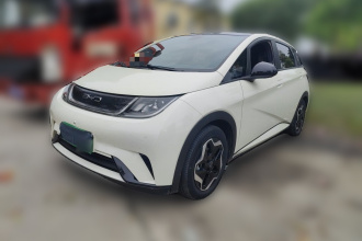 比亚迪 海豚 2021款 405km 时尚版