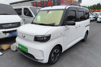 五菱汽车 五菱之光新能源 2025款 305km 进取型