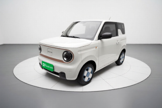 吉利银河 2024款 熊猫mini 200km 耐力熊
