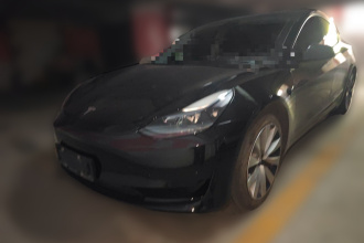 特斯拉 Model 3 2021款 标准续航后驱升级版 3D6