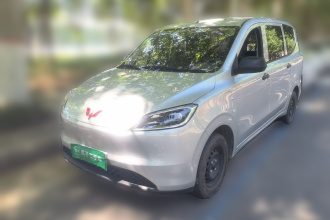 五菱汽车 五菱宏光新能源 2024款 纯电版 300KM 实用型
