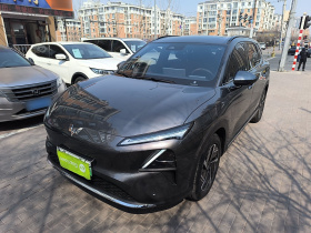 五菱汽车 五菱星光S 2024款 510km 旗舰型