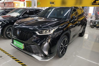 丰田 皇冠陆放 2021款 2.5L HEV四驱尊贵版