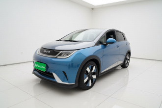 比亚迪 海豚 2021款 401km 骑士版