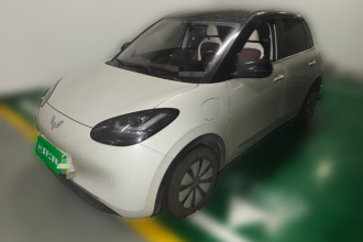 五菱汽车 五菱缤果 2024款 333km 悦享款