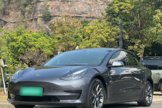 特斯拉 Model 3 2021款 标准续航后驱升级版 3D6