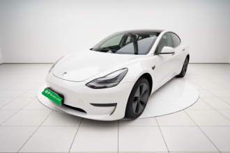 特斯拉 Model 3(进口) 2019款 长续航后驱版