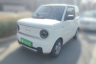 吉利银河 2023款 熊猫mini 200km 耐力熊