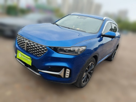 魏牌 VV6 2021款 2.0T 两驱智享+