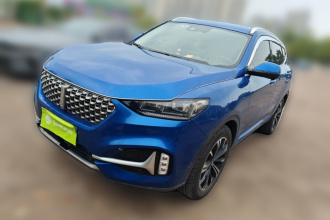 魏牌 VV6 2021款 2.0T 两驱智享+