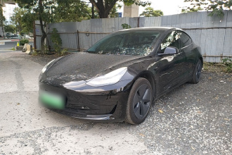 特斯拉 Model 3 2019款 标准续航后驱升级版