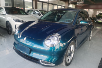 欧拉好猫 2023款 401km标准续航 豪华型 磷酸铁锂