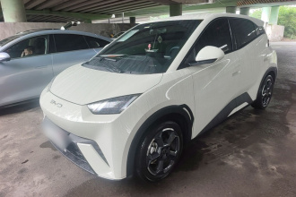 比亚迪 海鸥 2024款 荣耀版 305km 自由版