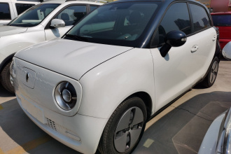 欧拉黑猫 2021款 301km 萌宠版