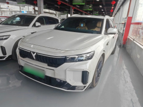 岚图汽车 岚图FREE 2024款 超长续航智驾版