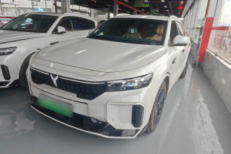 岚图汽车 岚图FREE 2024款 超长续航智驾版