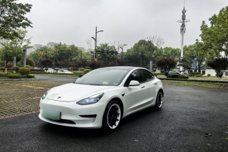 特斯拉 Model 3 2021款 标准续航后驱升级版