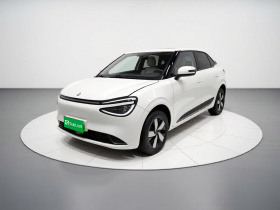 东风纳米 纳米01 2024款 330 Lite