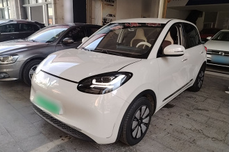 五菱汽车 五菱缤果 2023款 203km 舒享款