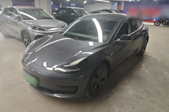 特斯拉 Model 3 2020款 改款 标准续航后驱升级版