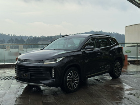 星途凌云 2021款 290T 四驱星尊版