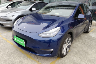 特斯拉 Model Y 2021款 标准续航后驱版