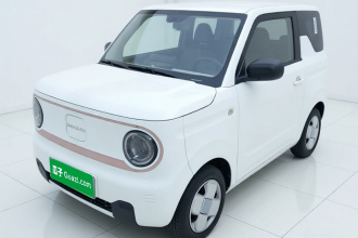 吉利银河 2023款 熊猫mini 200km 耐力熊