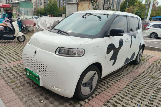 欧拉白猫 2020款 401km 长续航型