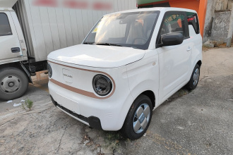 吉利银河 2024款 熊猫mini 200km 耐力熊