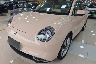 欧拉好猫 2023款 401km标准续航 豪华型 三元锂