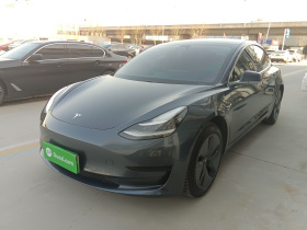 特斯拉 Model 3(进口) 2019款 标准续航后驱升级版