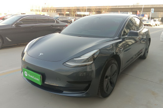 特斯拉 Model 3(进口) 2019款 标准续航后驱升级版