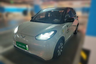 五菱汽车 五菱缤果 2023款 333km 灵犀互联款