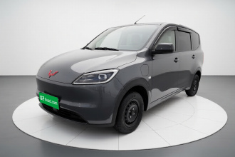 五菱汽车 五菱宏光新能源 2024款 纯电版 300KM 实用型