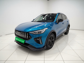 哈弗赤兔 2021款 激擎版 1.5T 铂金兔