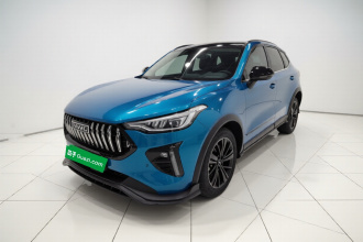 哈弗赤兔 2021款 激擎版 1.5T 铂金兔