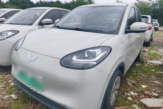 五菱汽车 五菱缤果 2023款 333km 快享款