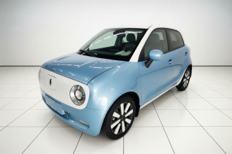欧拉黑猫 2021款 351km 豪华型