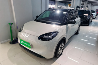 五菱汽车 五菱缤果 2023款 333km 灵犀互联款